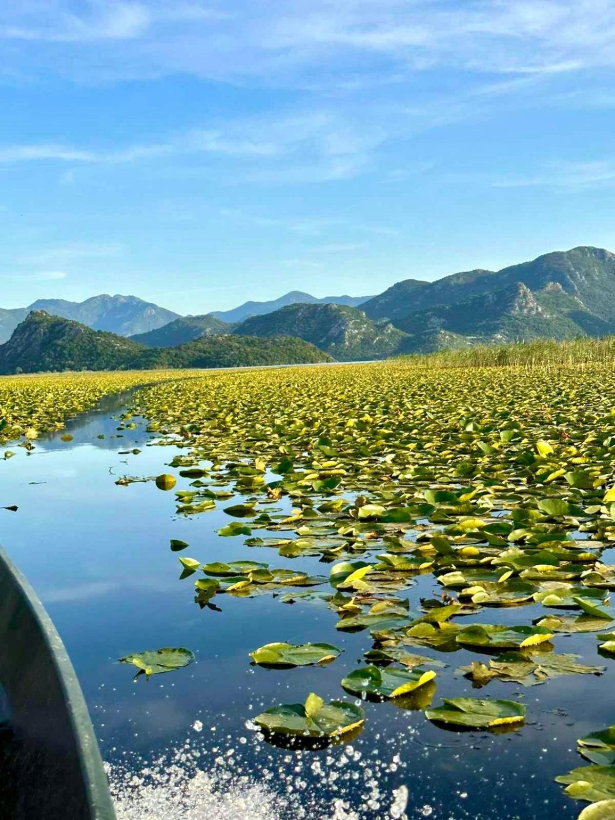 Casa Di Kiara, Skadar Lake Dodosi Exterior photo